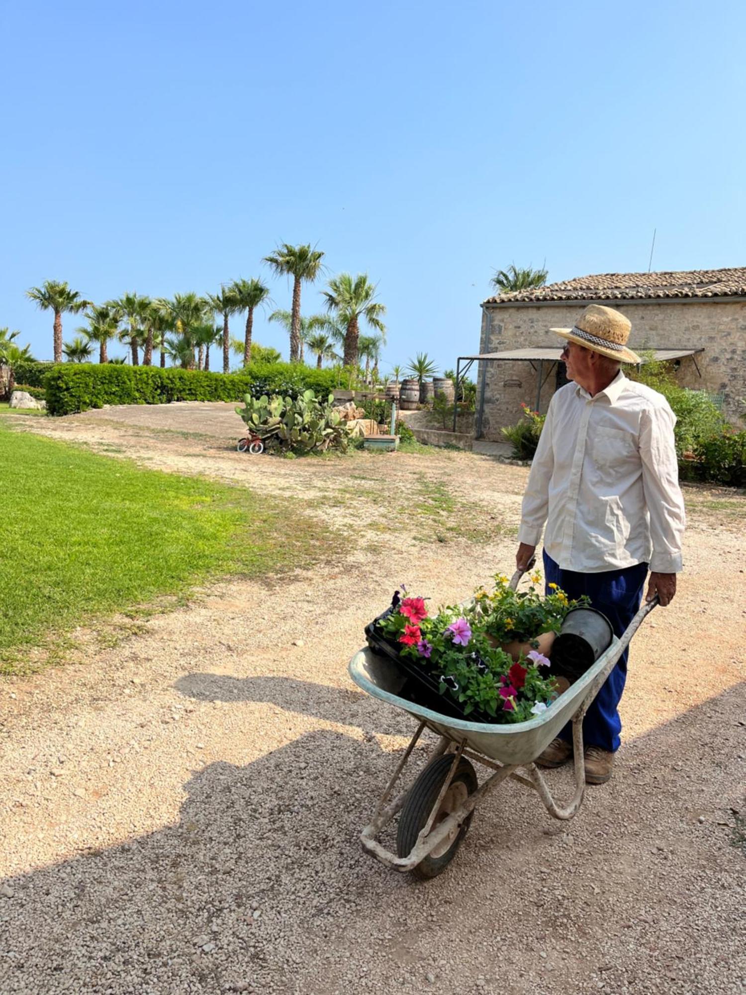 Masseria Boscorotondo Шикли Екстериор снимка
