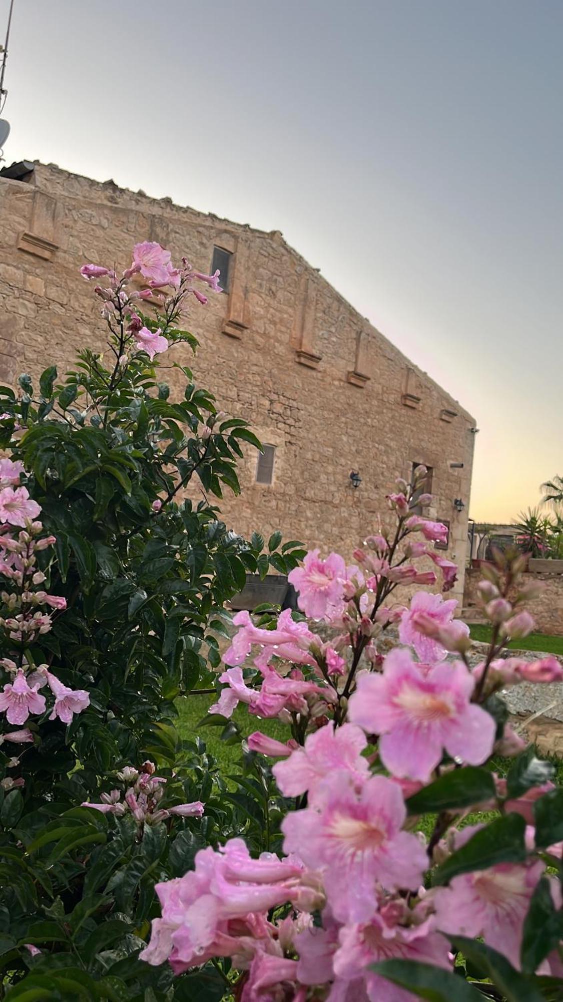 Masseria Boscorotondo Шикли Екстериор снимка